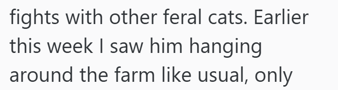 fights with other feral cats. Earlier this week I saw him hanging around the farm like usual, only