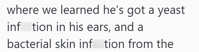 where we learned he's got a yeast inf tion in his ears, and a bacterial skin inftion from the