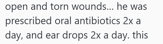 open and torn wounds... he was prescribed oral antibiotics 2x a day, and ear drops 2x a day. this