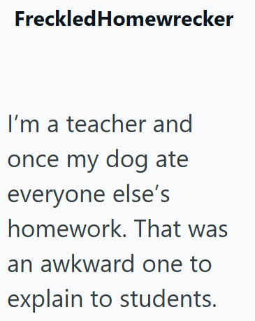 Freckled Homewrecker I'm a teacher and once my dog ate everyone else's homework. That was an awkward one to explain to students.