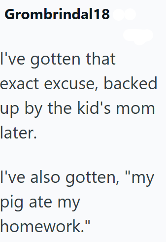 Grombrindal18 I've gotten that exact excuse, backed up by the kid's mom later. I've also gotten, "my pig ate my homework."