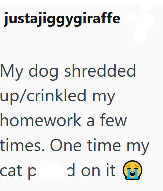 justajiggygiraffe My dog shredded up/crinkled my homework a few times. One time my cat p d on it