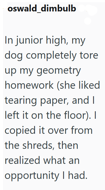 oswald_dimbulb In junior high, my dog completely tore up my geometry homework (she liked tearing paper, and I left it on the floor). I copied it over from the shreds, then realized what an opportunity I had.