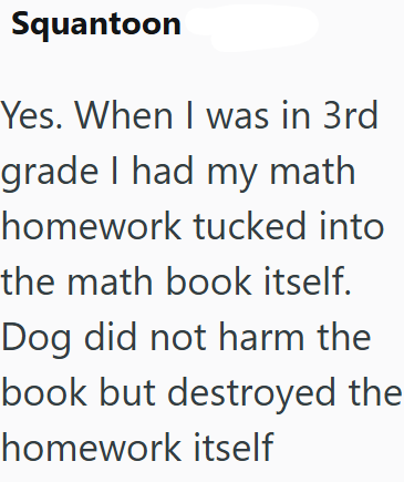 Squantoon Yes. When I was in 3rd grade I had my math homework tucked into the math book itself. Dog did not harm the book but destroyed the homework itself