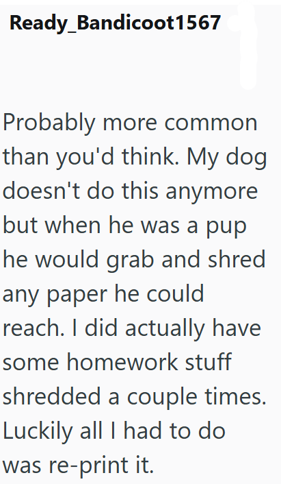 Ready_Bandicoot 1567 Probably more common than you'd think. My dog doesn't do this anymore but when he was a pup he would grab and shred any paper he could reach. I did actually have some homework stuff shredded a couple times. Luckily all I had to do was re-print it.