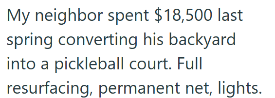 My neighbor spent $18,500 last spring converting his backyard into a pickleball court. Full resurfacing, permanent net, lights.