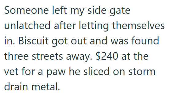 Someone left my side gate unlatched after letting themselves in. Biscuit got out and was found three streets away. $240 at the vet for a paw he sliced on storm drain metal.