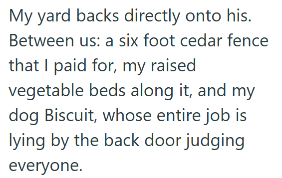 My yard backs directly onto his. Between us: a six foot cedar fence that I paid for, my raised vegetable beds along it, and my dog Biscuit, whose entire job is lying by the back door judging everyone.