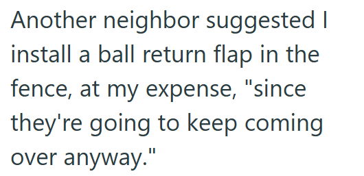 Another neighbor suggested I install a ball return flap in the fence, at my expense, "since they're going to keep coming over anyway."