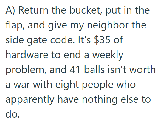 A) Return the bucket, put in the flap, and give my neighbor the side gate code. It's $35 of hardware to end a weekly problem, and 41 balls isn't worth a war with eight people who apparently have nothing else to do.
