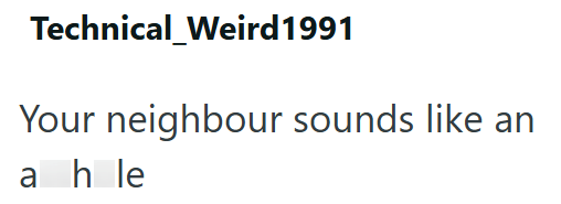 Technical Weird 1991 Your neighbour sounds like an ahle