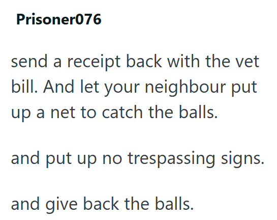 Prisoner076 send a receipt back with the vet bill. And let your neighbour put up a net to catch the balls. and put up no trespassing signs. and give back the balls.