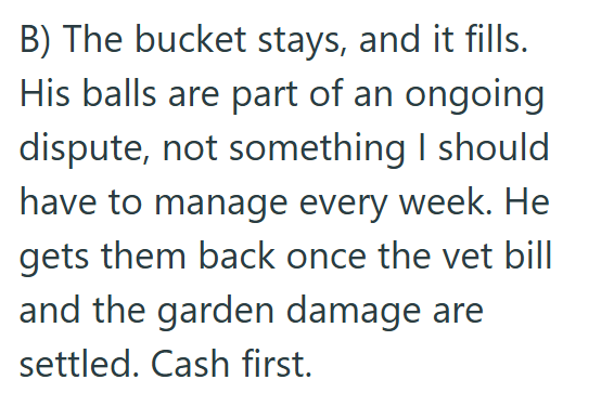 B) The bucket stays, and it fills. His balls are part of an ongoing dispute, not something I should have to manage every week. He gets them back once the vet bill and the garden damage are settled. Cash first.