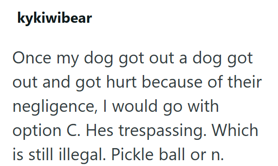 kykiwibear Once my dog got out a dog got out and got hurt because of their negligence, I would go with option C. Hes trespassing. Which is still illegal. Pickle ball or n.