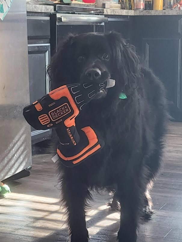 O BLACK+ DECKER MATRIX ПГ