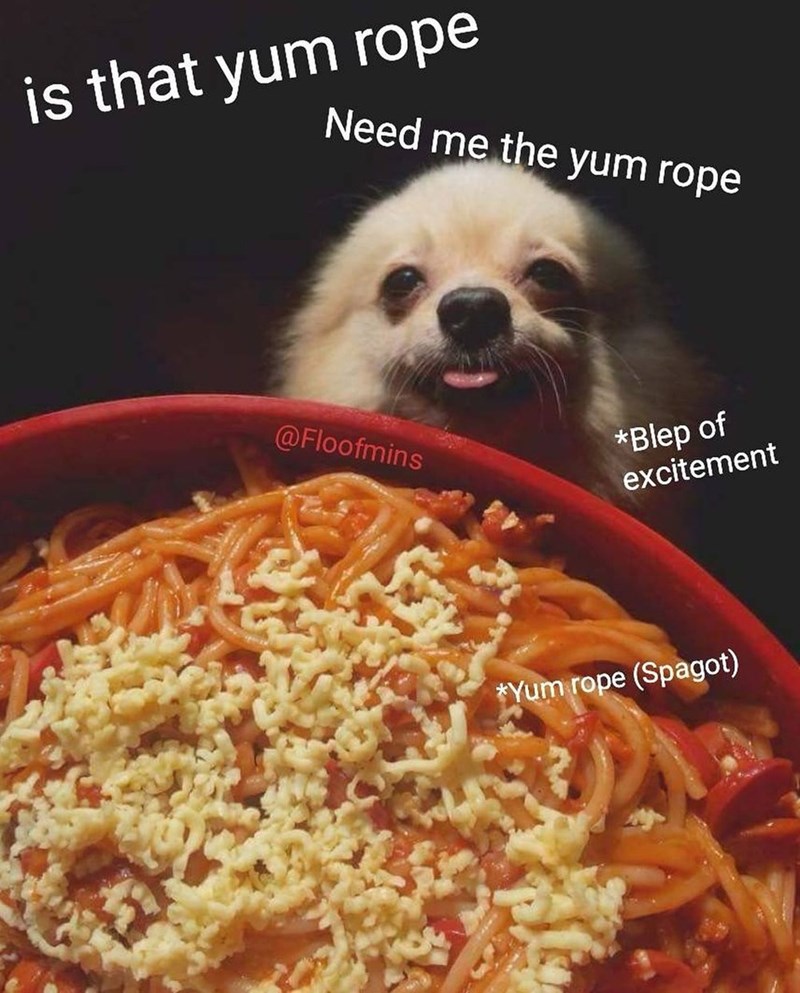 is that yum rope Need me the yum rope @Floofmins *Blep of excitement *Yum rope (Spagot)