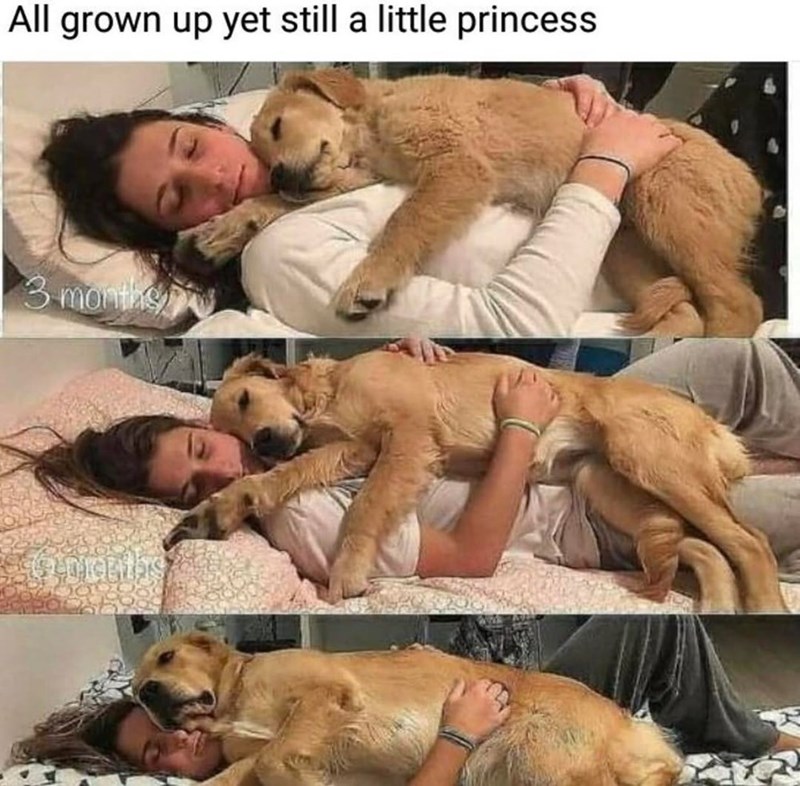 All grown up yet still a little princess 3 months