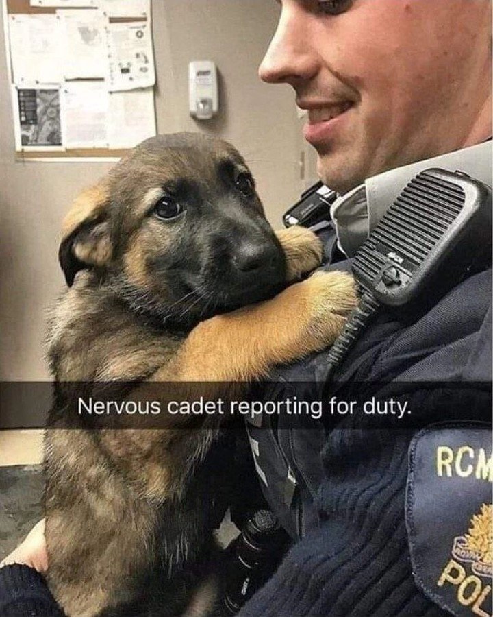 Nervous cadet reporting for duty. RCM POL
