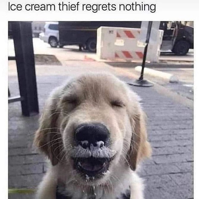 Ice cream thief regrets nothing