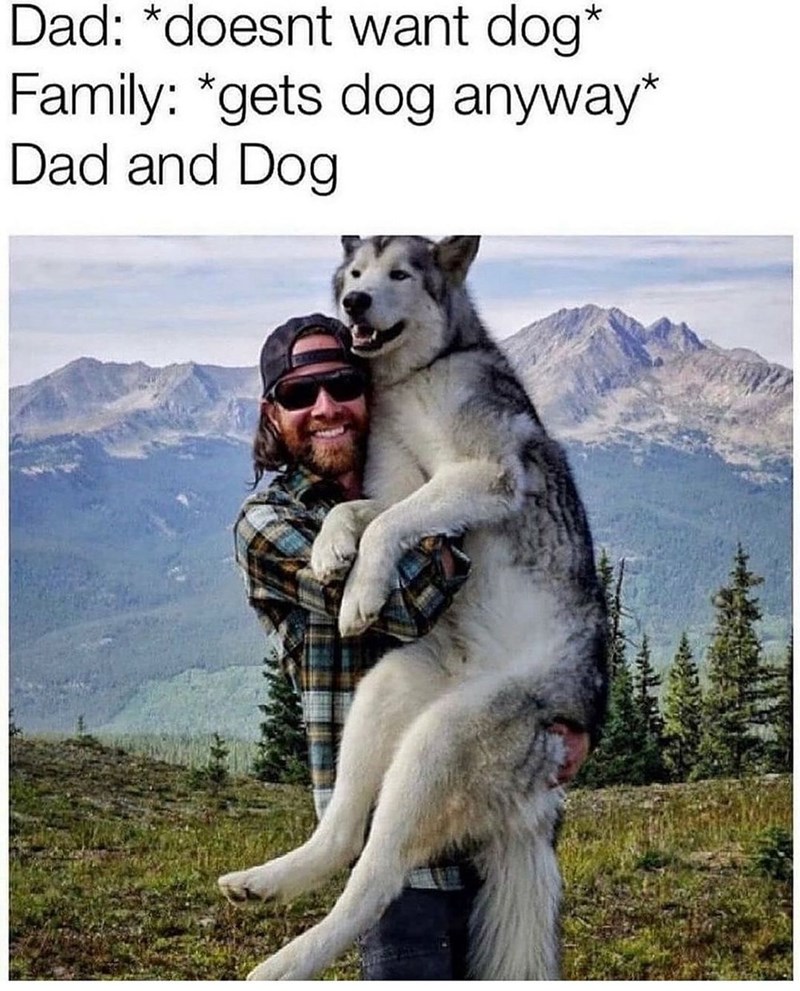 Dad: *doesnt want dog* Family: *gets dog anyway* Dad and Dog