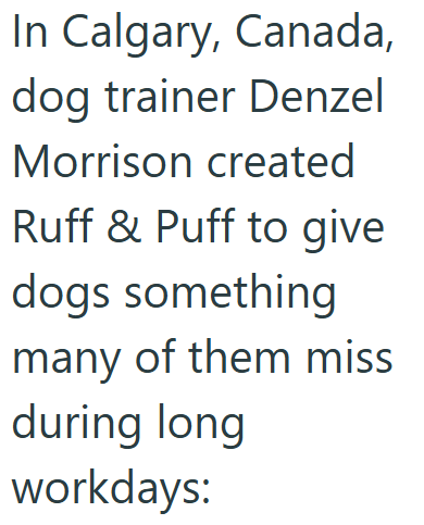 In Calgary, Canada, dog trainer Denzel Morrison created Ruff & Puff to give dogs something many of them miss during long workdays: