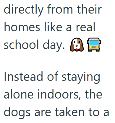directly from their homes like a real school day. Instead of staying alone indoors, the dogs are taken to a