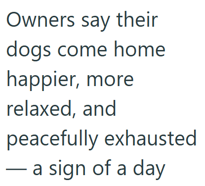Owners say their dogs come home happier, more relaxed, and peacefully exhausted - a sign of a day