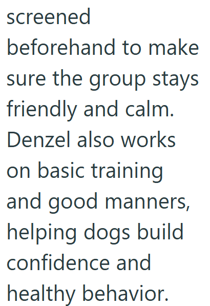 screened beforehand to make sure the group stays friendly and calm. Denzel also works on basic training and good manners, helping dogs build confidence and healthy behavior.
