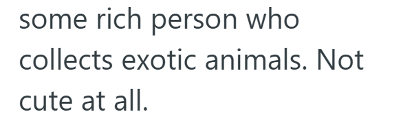 some rich person who collects exotic animals. Not cute at all.