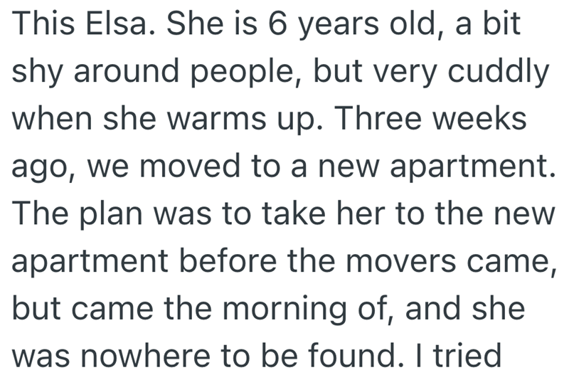This Elsa. She is 6 years old, a bit shy around people, but very cuddly when she warms up. Three weeks ago, we moved to a new apartment. The plan was to take her to the new apartment before the movers came, but came the morning of, and she was nowhere to be found. I tried