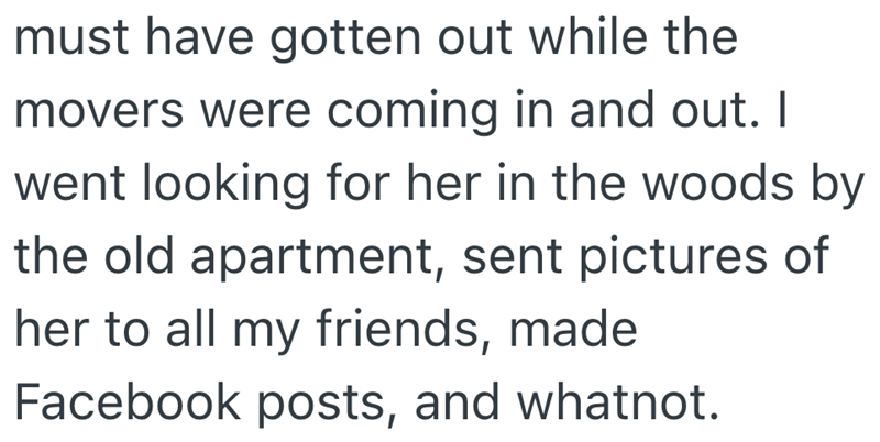 must have gotten out while the movers were coming in and out. I went looking for her in the woods by the old apartment, sent pictures of her to all my friends, made Facebook posts, and whatnot.