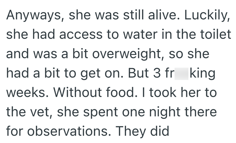 Anyways, she was still alive. Luckily, she had access to water in the toilet and was a bit overweight, so she had a bit to get on. But 3 fr king weeks. Without food. I took her to the vet, she spent one night there for observations. They did