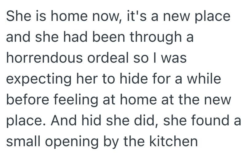 She is home now, it's a new place and she had been through a horrendous ordeal so I was expecting her to hide for a while before feeling at home at the new place. And hid she did, she found a small opening by the kitchen