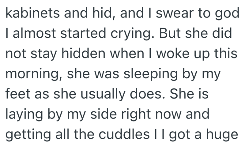kabinets and hid, and I swear to god I almost started crying. But she did not stay hidden when I woke up this morning, she was sleeping by my feet as she usually does. She is laying by my side right now and getting all the cuddles II got a huge