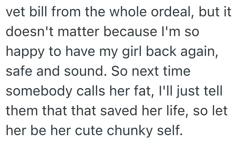 vet bill from the whole ordeal, but it doesn't matter because I'm so happy to have my girl back again, safe and sound. So next time somebody calls her fat, I'll just tell them that that saved her life, so let her be her cute chunky self.