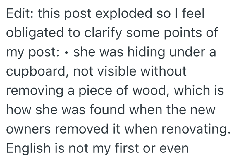Edit: this post exploded so I feel obligated to clarify some points of • my post: she was hiding under a cupboard, not visible without removing a piece of wood, which is how she was found when the new owners removed it when renovating. English is not my first or even