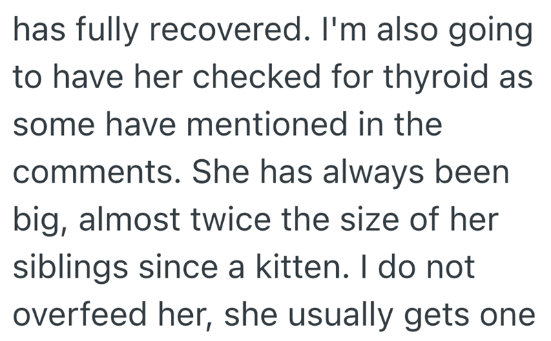 has fully recovered. I'm also going to have her checked for thyroid as some have mentioned in the comments. She has always been big, almost twice the size of her siblings since a kitten. I do not overfeed her, she usually gets one