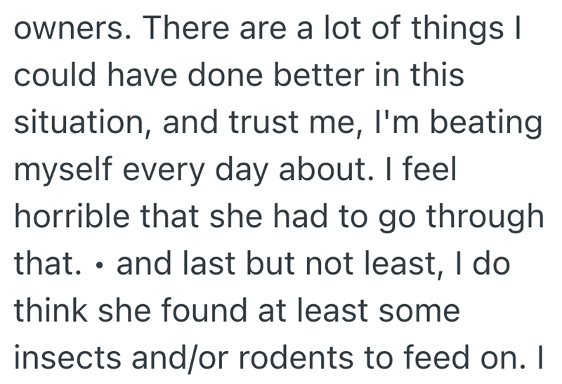 owners. There are a lot of things I could have done better in this situation, and trust me, I'm beating myself every day about. I feel horrible that she had to go through that. ⚫ and last but not least, I do think she found at least some insects and/or rodents to feed on. I