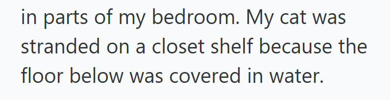 in parts of my bedroom. My cat was stranded on a closet shelf because the floor below was covered in water.