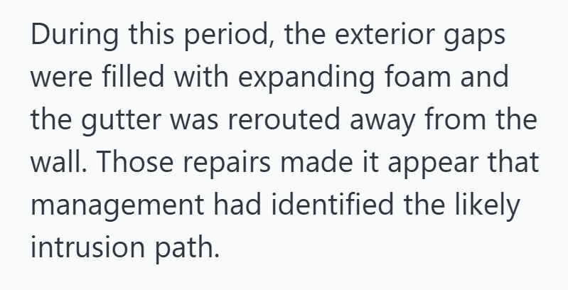 During this period, the exterior gaps were filled with expanding foam and the gutter was rerouted away from the wall. Those repairs made it appear that management had identified the likely intrusion path.