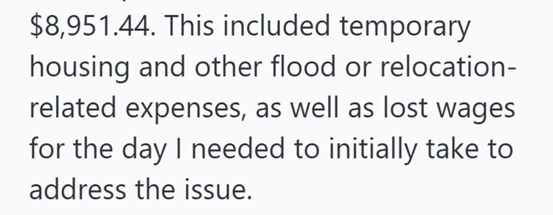 $8,951.44. This included temporary housing and other flood or relocation- related expenses, as well as lost wages for the day I needed to initially take to address the issue.