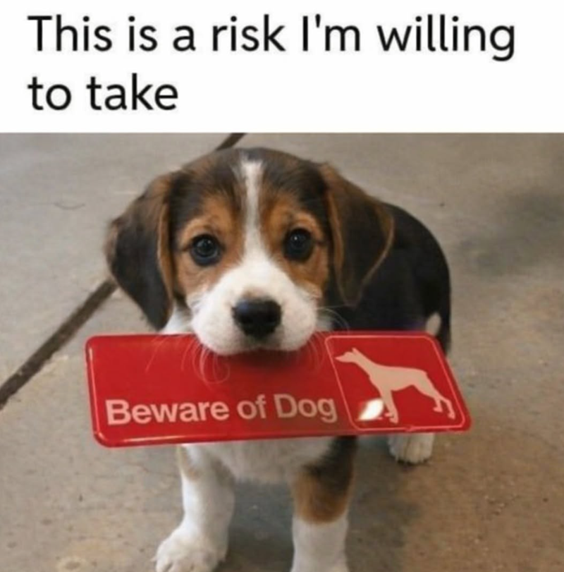 This is a risk I'm willing to take Beware of Dog
