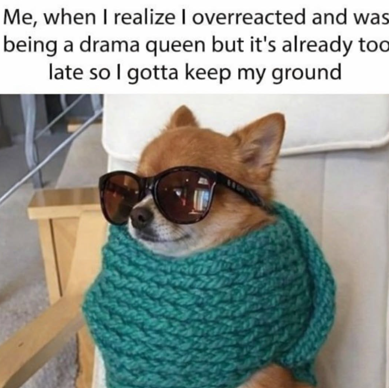 Me, when I realize I overreacted and was being a drama queen but it's already too late so I gotta keep my ground