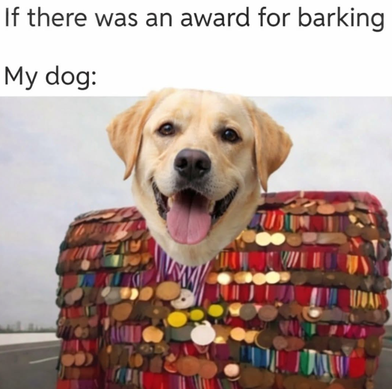 If there was an award for barking My dog: