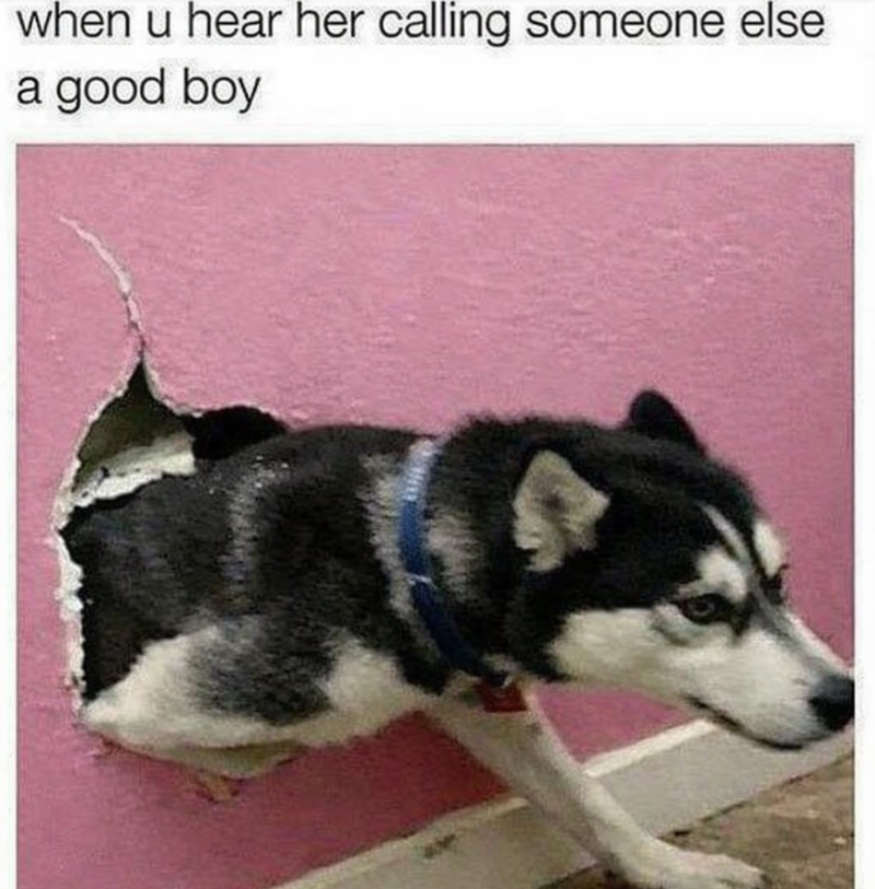 when u hear her calling someone else a good boy
