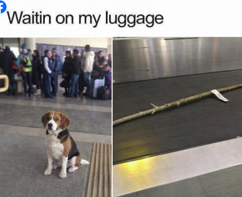 Waitin on my luggage 19