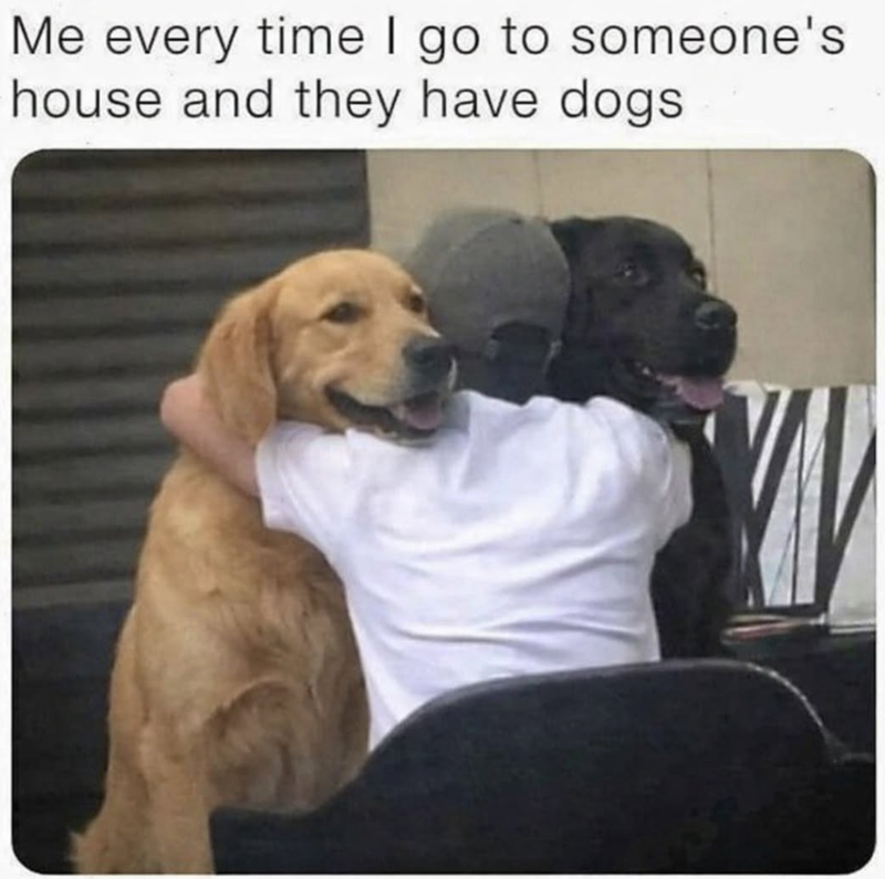 Me every time I go to someone's house and they have dogs