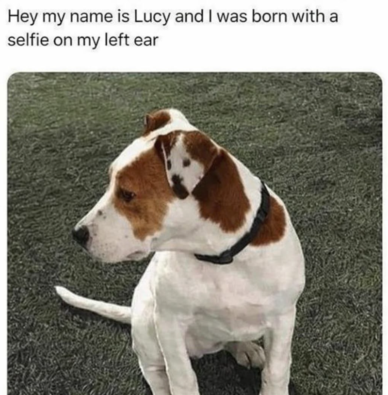 Hey my name is Lucy and I was born with a selfie on my left ear