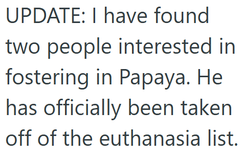 UPDATE: I have found two people interested in fostering in Papaya. He has officially been taken off of the euthanasia list.