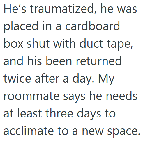 He's traumatized, he was placed in a cardboard box shut with duct tape, and his been returned twice after a day. My roommate says he needs at least three days to acclimate to a new space.
